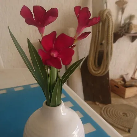 Lara Apartman